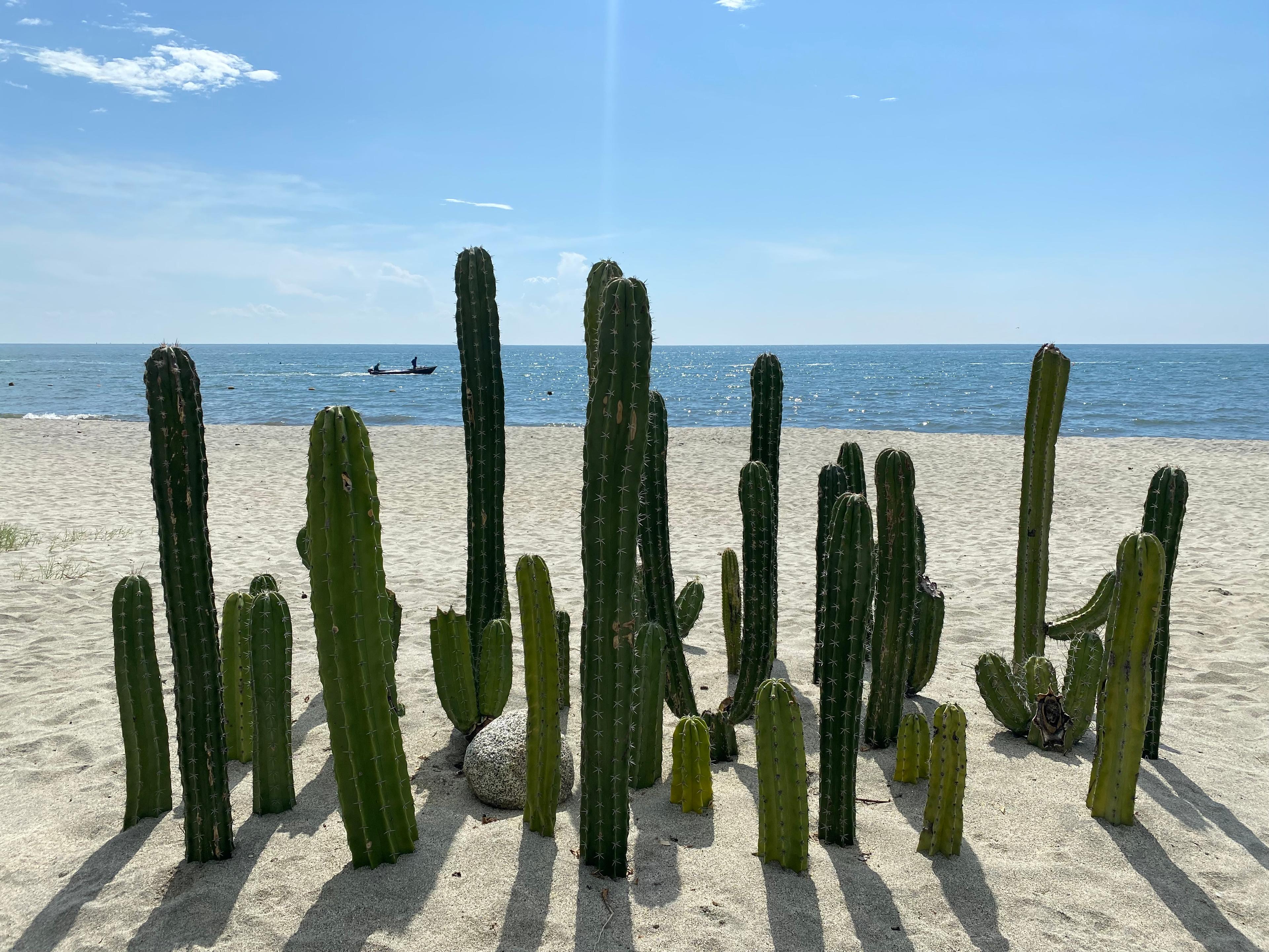 Apartamento con vista al mar en Santa Marina: Tu refujio de descanso en Santa Marta  - foto 14 en Santa Marina, Santa Marta